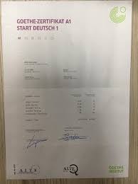 alle goethe institute